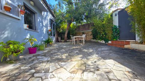 Foto 2 de Casa adosada de alquiler en El Terreno, Palma de Mallorca