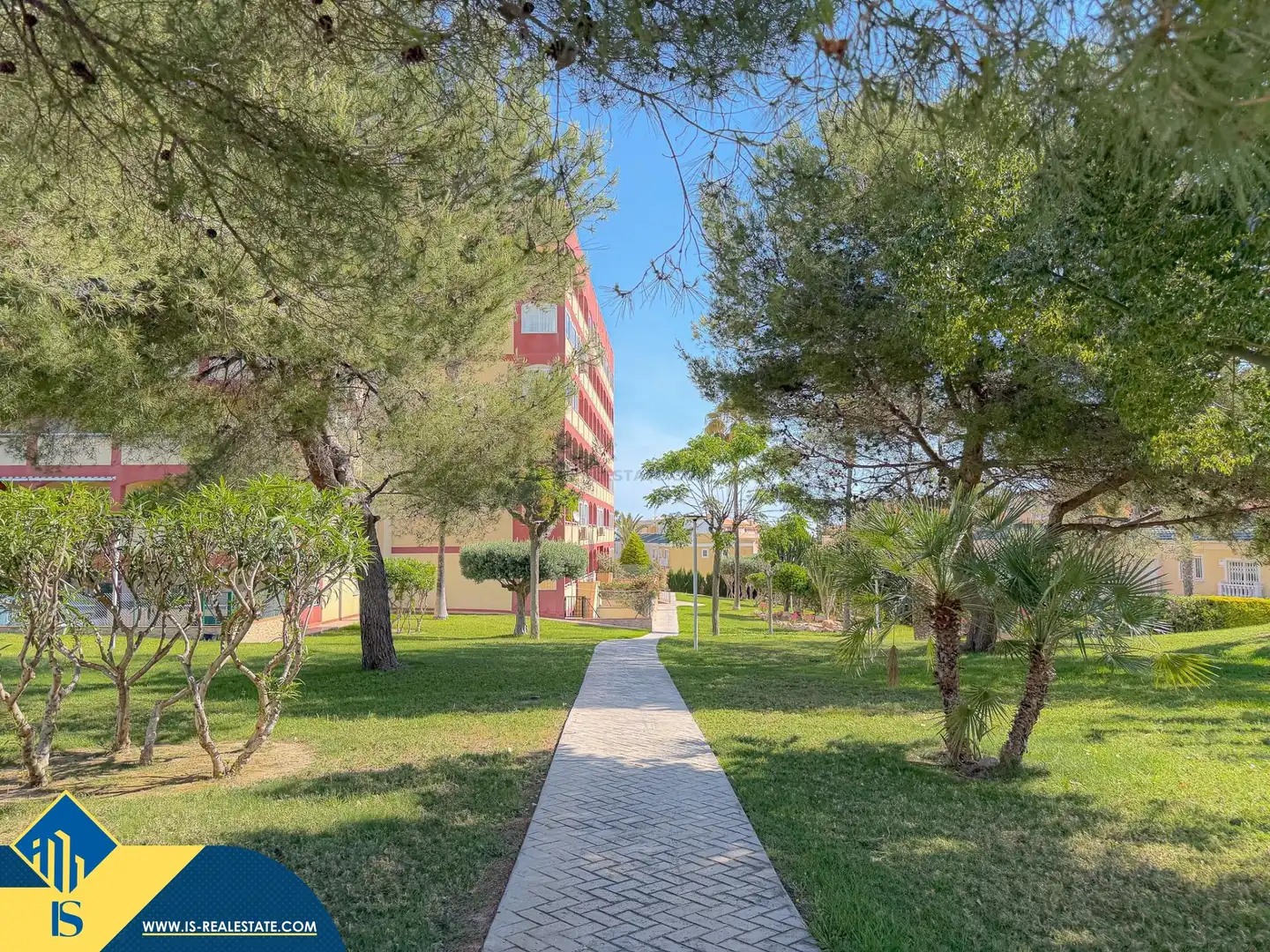 Pis amb piscina en venda a Nueva Torrevieja - Aguas Nuevas, imagen 2