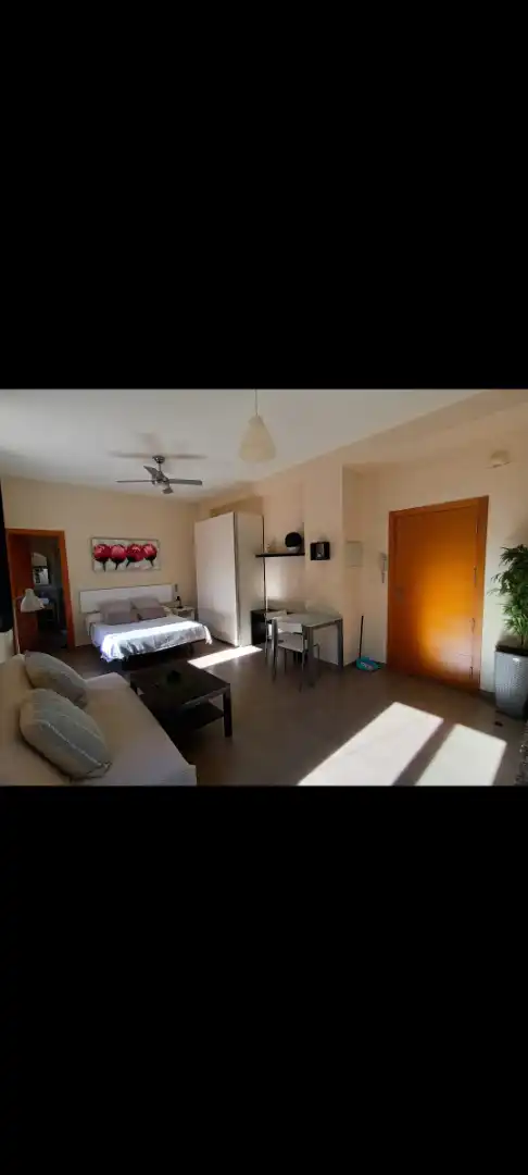 Schlafzimmer von Wohnung zur Miete in Málaga mit Möbliert