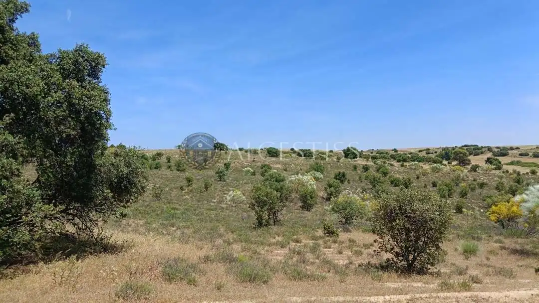 Terreno en venta en La Torre de Esteban Hambrán