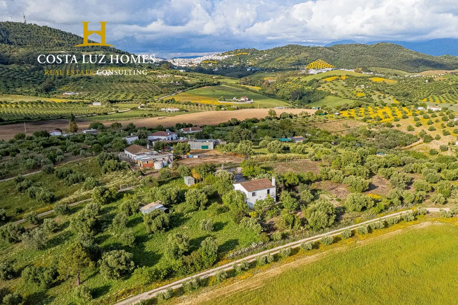 Casa amb jardí en venda a Prado del Rey, imagen 4