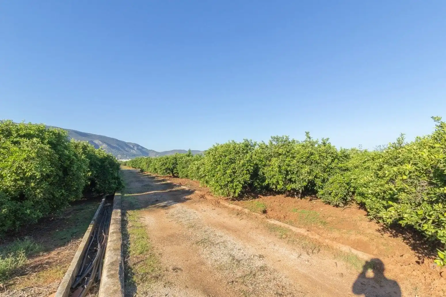 Terrain rustique à vendre à Benifairó de la Valldigna - HORTA, imagen 52