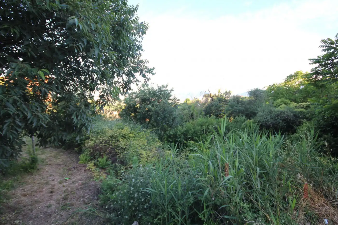 Wohnbaugrundstück zum Verkauf in Camino Fincas 9, imagen 6
