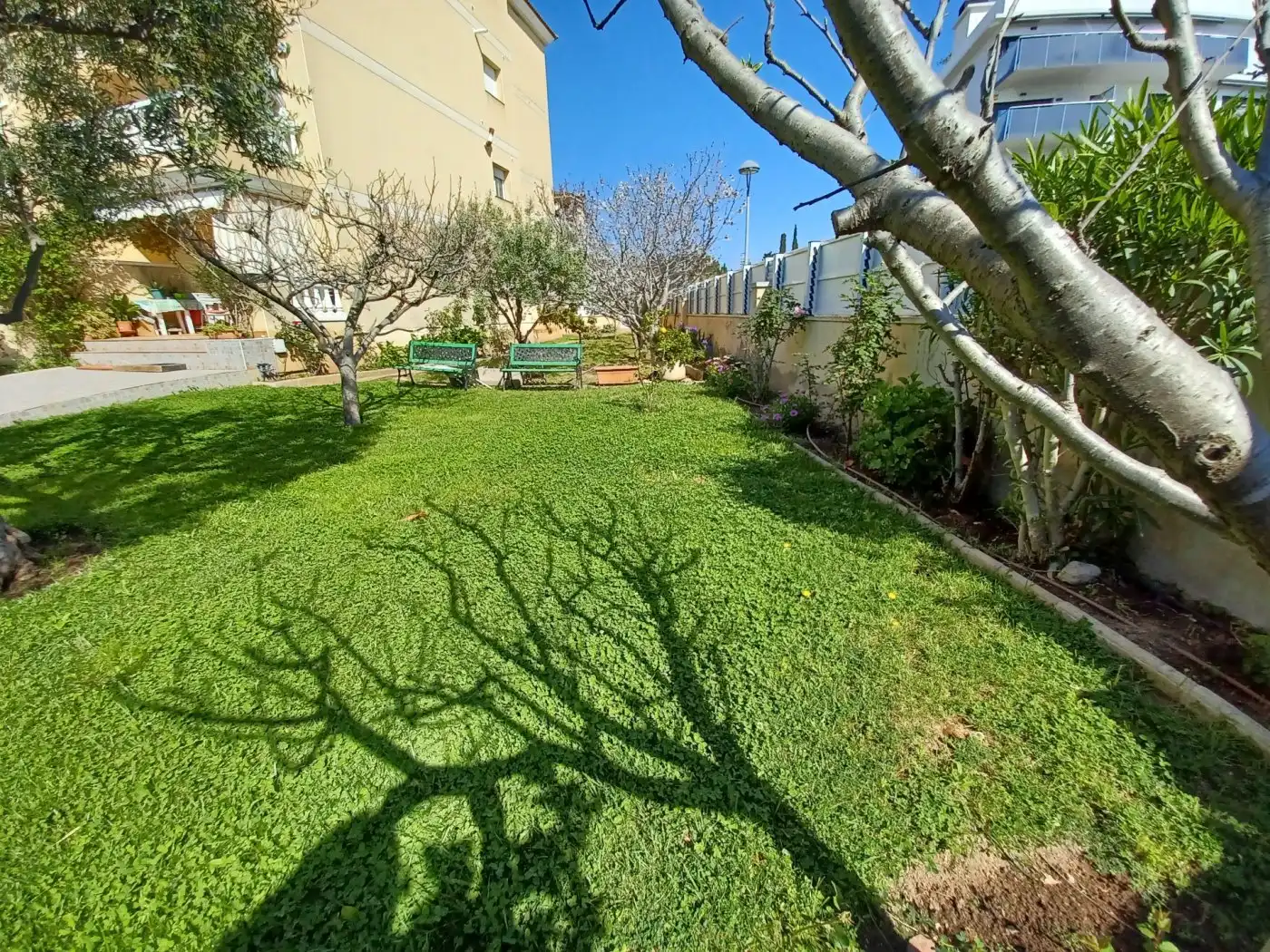 Ground floor for sale in Cunidor