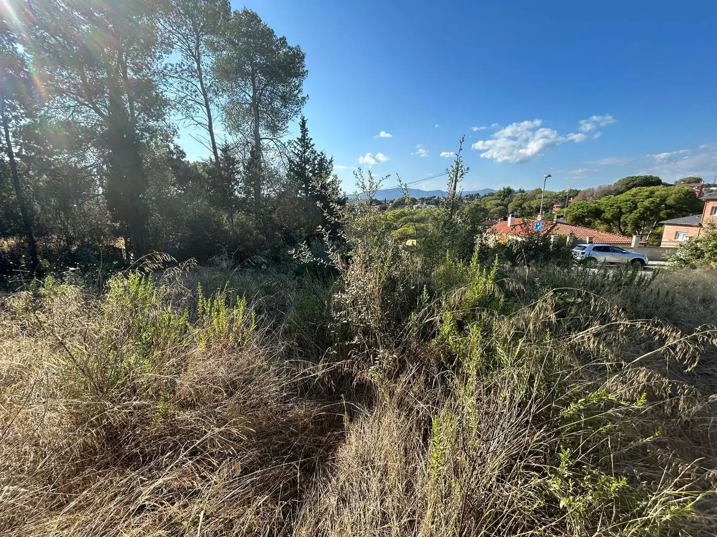 Terrain résidentiel à vendre à Carrer CEDRE, imagen 3