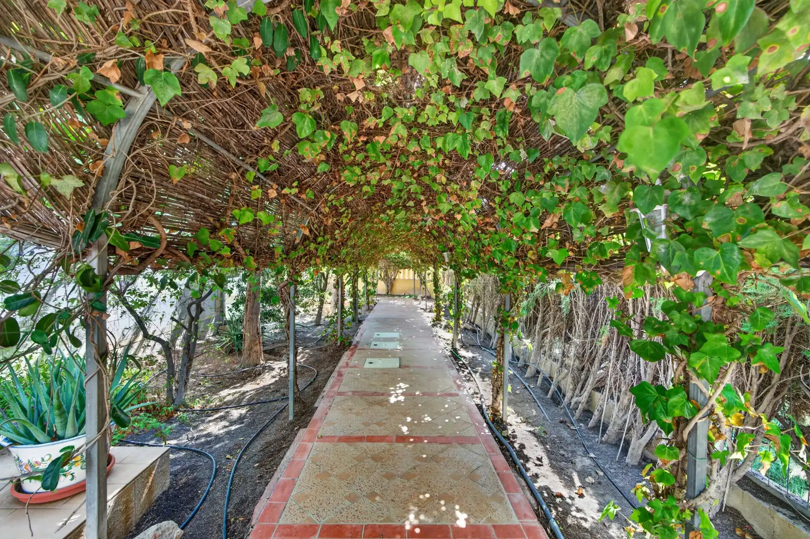 Maison avec terrasse à vendre à San Fulgencio, Alicante, Spain, imagen 65
