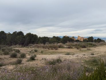 Terreno rustico in vendita a Molina de Segura - Calle Pepín Liria 5