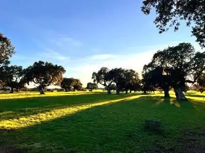 Rural land for sale in Chinchibarra - Capuchinos, imagen 7