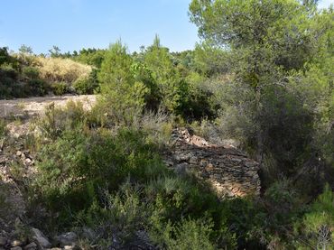 Rural land for sale in La Fresneda