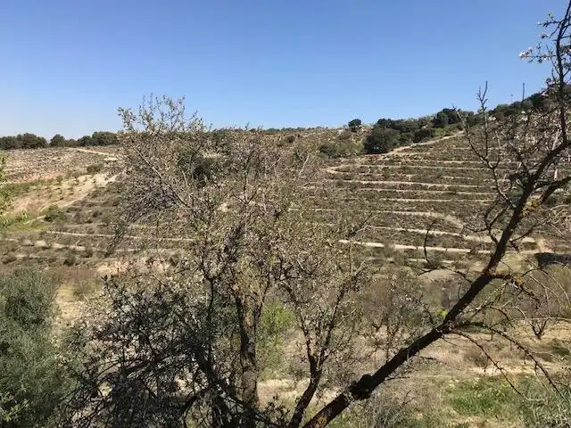 Grundstücke zum Verkauf in La Zubia