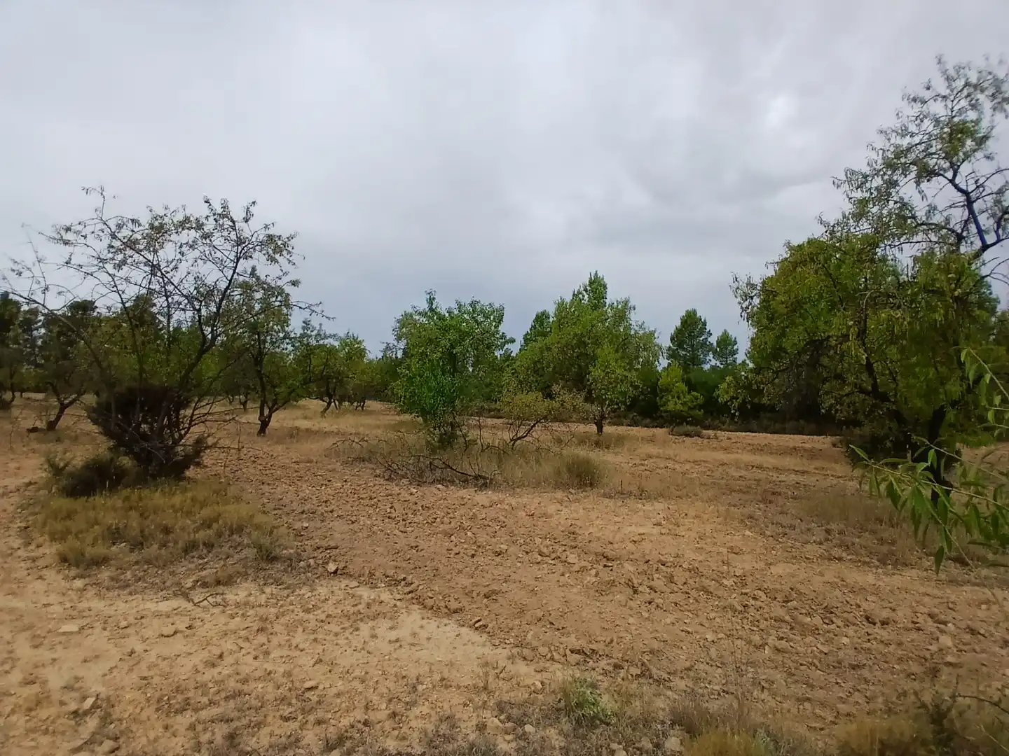 Terreno rustico in vendita a La Fresneda, imagen 9