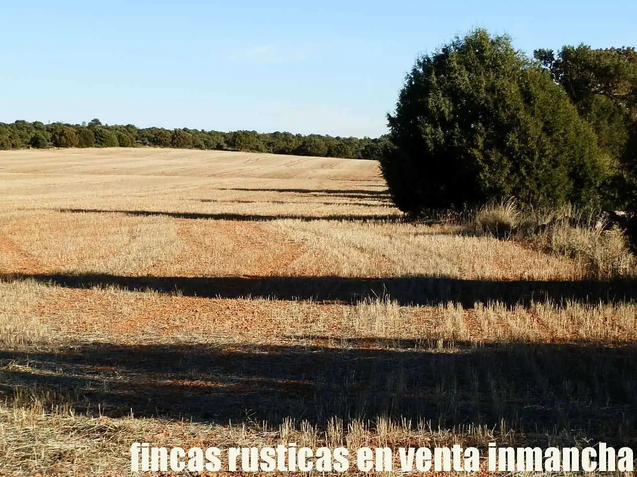 Lands and plots for sale in Ossa de Montiel, imagen 15