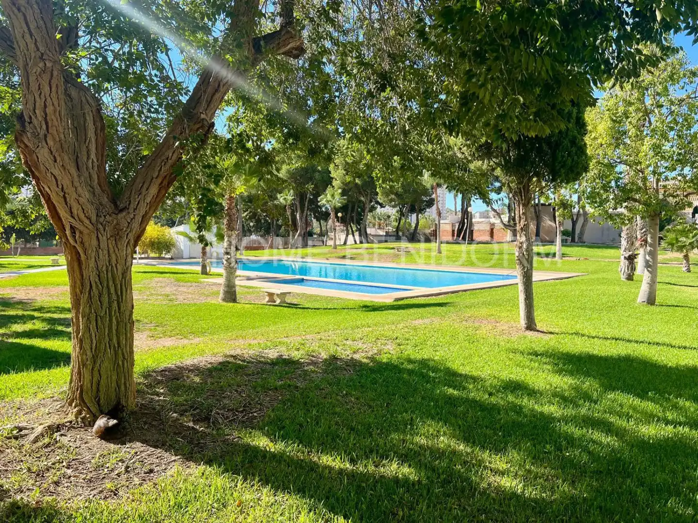 Piscina de Piso en venta en Benidorm con Trastero