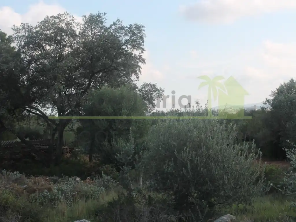 Terreny residencial en venda a Càlig, imagen 8