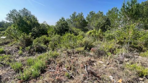 Foto 2 de Terreno en venta en Arrabal Poligono el Rincon, 9, Buñol, Valencia