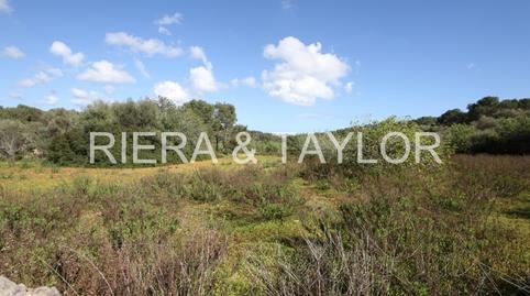 Photo 2 of Land for sale in Portopetro, Illes Balears