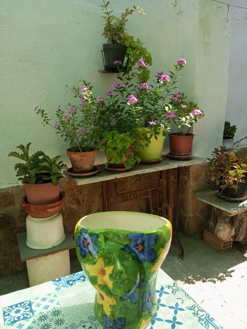 Terrassa de Casa o xalet en venda en Tavernes Blanques amb Jardí privat