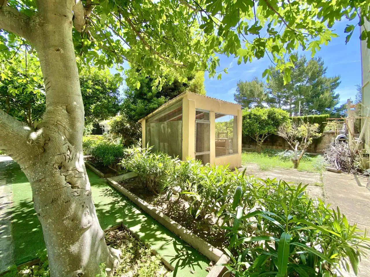 Garten von Haus oder Chalet zum Verkauf in  Palma de Mallorca mit Privatgarten, Terrasse und Abstellraum