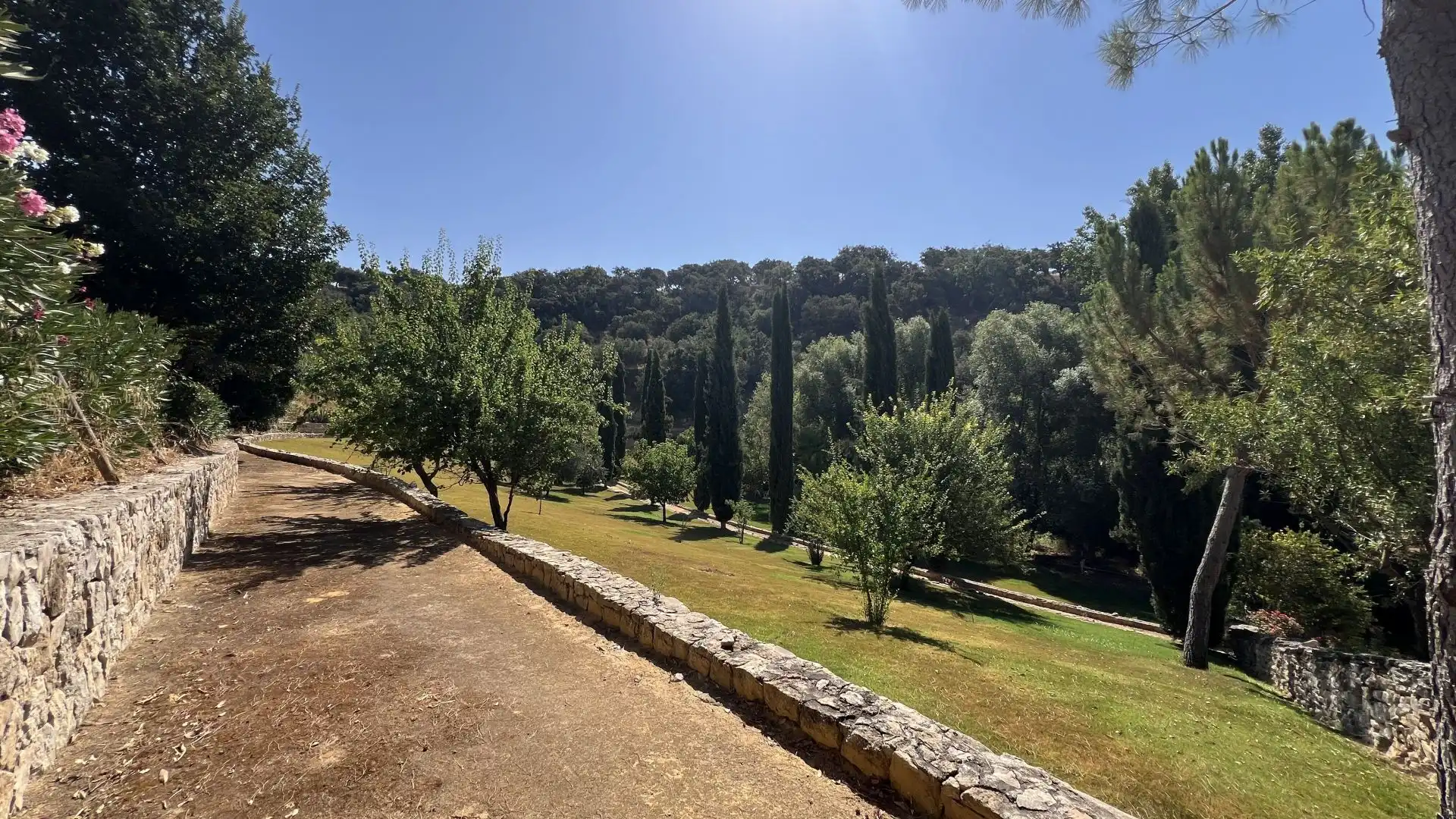 Finca rústica en venta en Setenil de las Bodegas