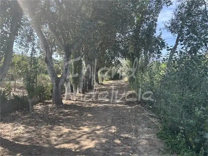 Chalet en venta en Priego de Córdoba, imagen 3