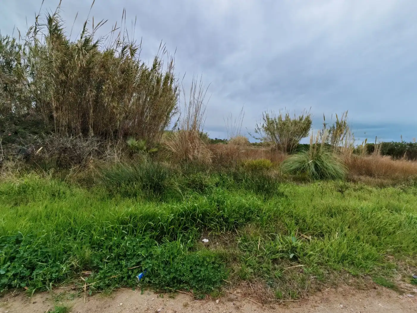 Rustikales Grundstück zum Verkauf in Polígono 19, 387, imagen 11