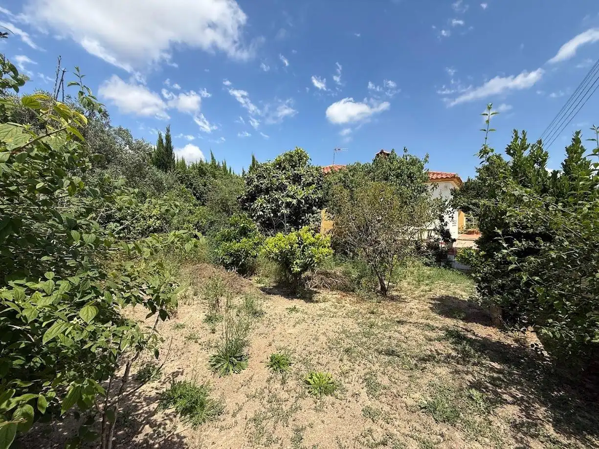 Detached house with pool for sale in Montserrat, imagen 59