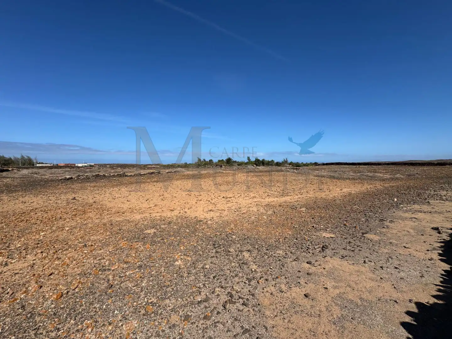 Land for sale in La Oliva
