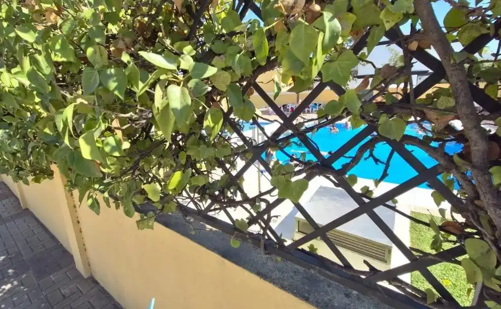 Reihenhaus mit Pool zum Verkauf in Cruz de Humilladero, imagen 22