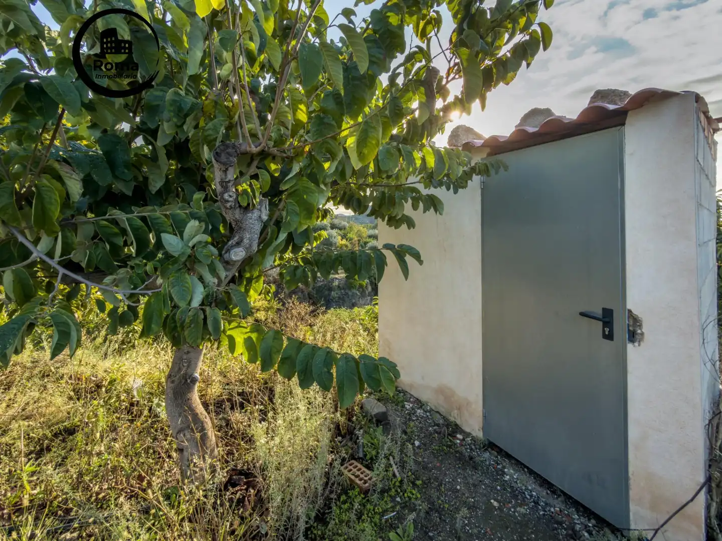 Vista exterior de Finca rústica en venda en Los Guájares amb Terrassa i Traster