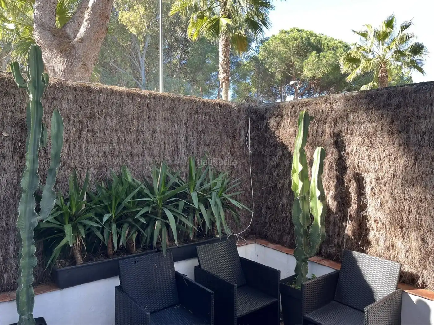 Flat with pool to rent in Calle Ancora 14, imagen 7