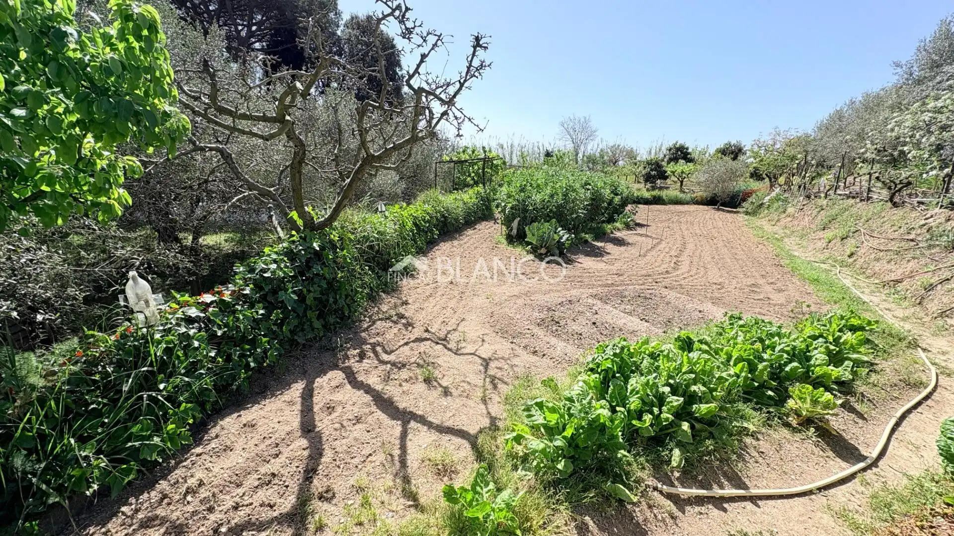 Casa o xalet en venda en Piera amb Jardí privat