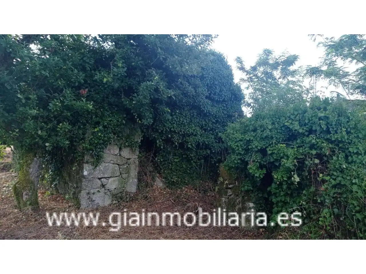Terrenys i solars en venda a Calle Arcos, imagen 4