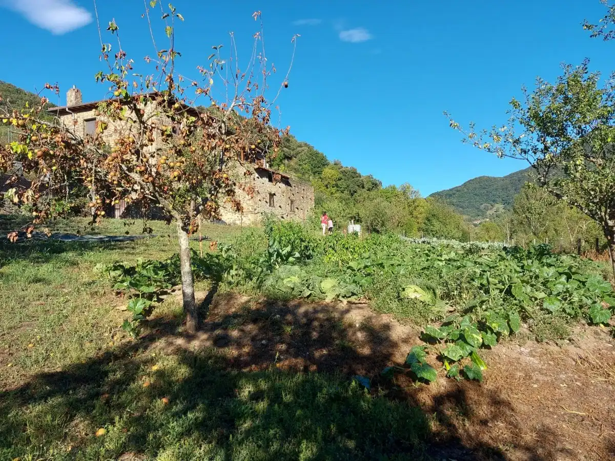 Jardí de Finca rústica en venda en Pesaguero amb Jardí privat