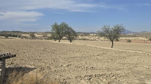 Foto 4 de Terreno en venta en Parroquia, 1, Ortillo, Murcia