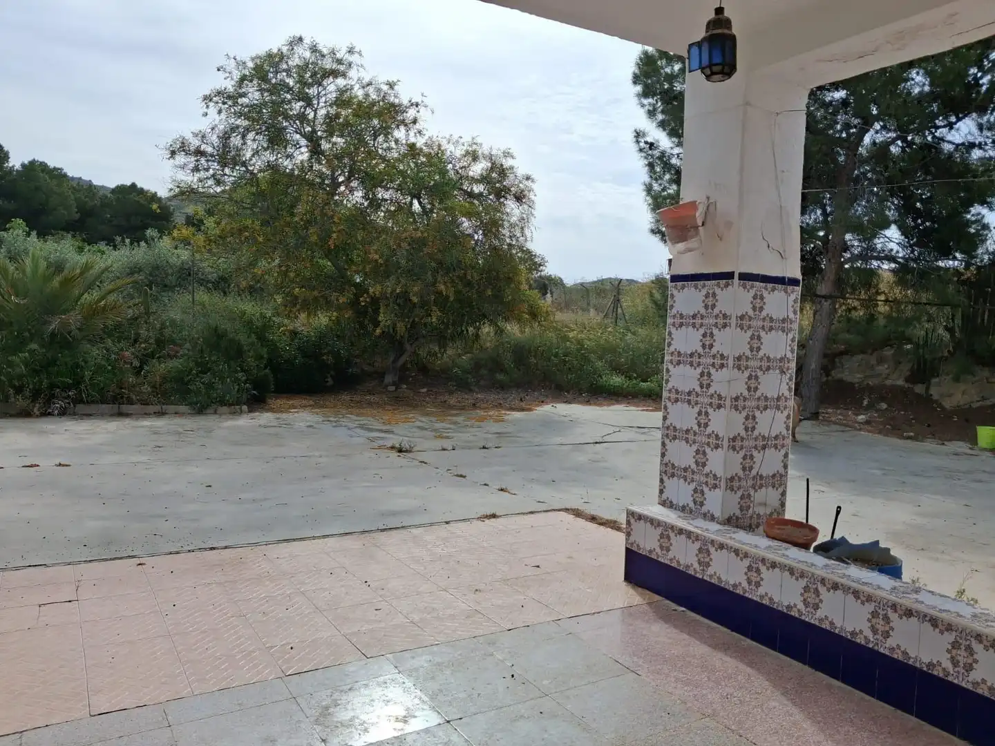Vista exterior de Casa o chalet en venta en Aspe