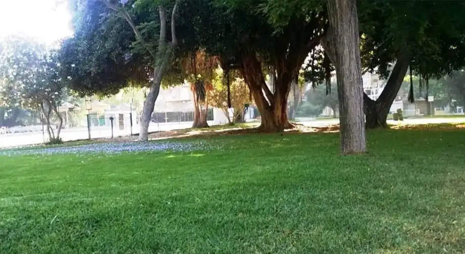 Vista exterior de Dúplex en venda en Benalmádena amb Aire condicionat, Terrassa i Piscina comunitària