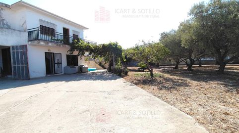 Espectacular chalet independiente con piscina y gran parcela frutal entre el campo y la ciudad, image 2