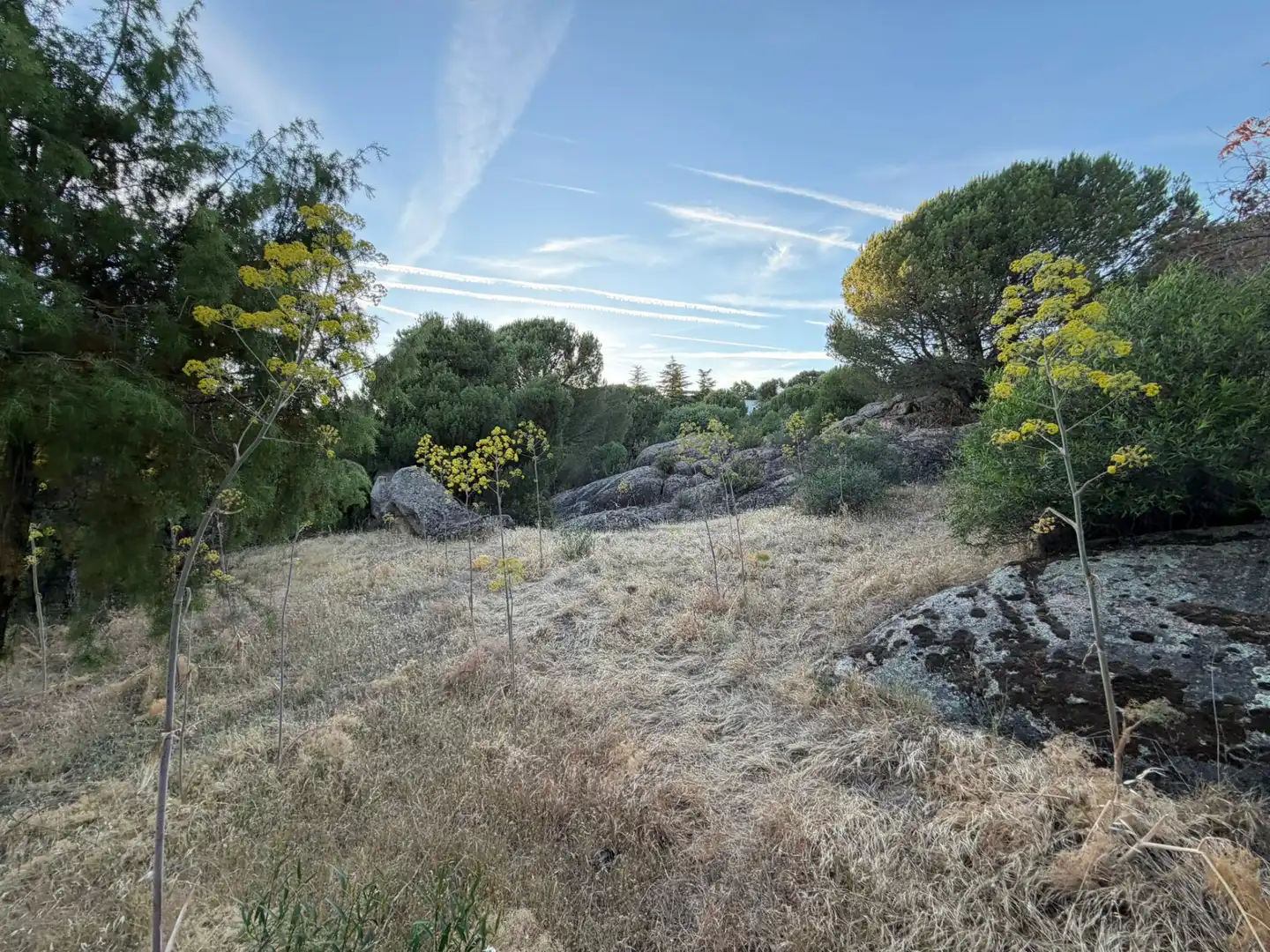 Residencial en venta en Torrelodones