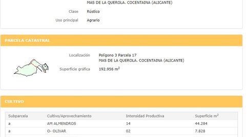 Solvia Inmobiliaria  Suelo otros Cocentaina, immagine 3