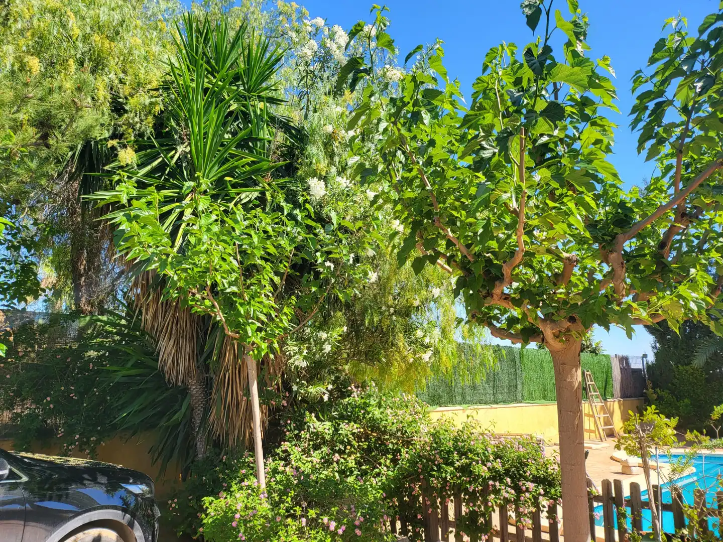 Maison rustique avec piscine à vendre à Pedanías Oeste, imagen 17