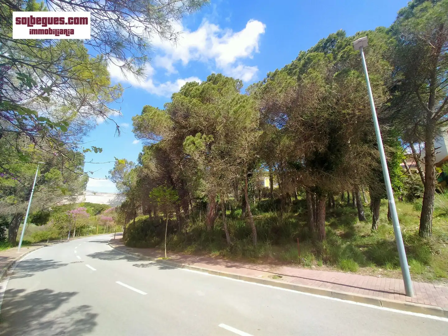 Terrenys i solars en venda a Begues