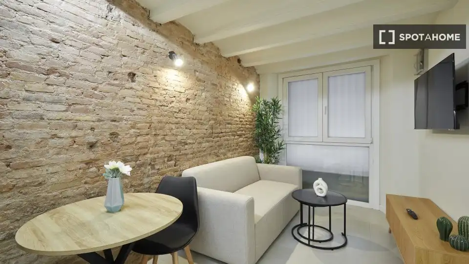 Pis de lloguer a El Raval