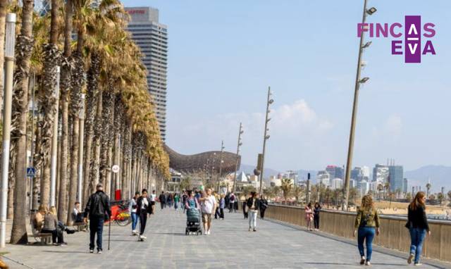 Local comercial en Venta en La Barceloneta