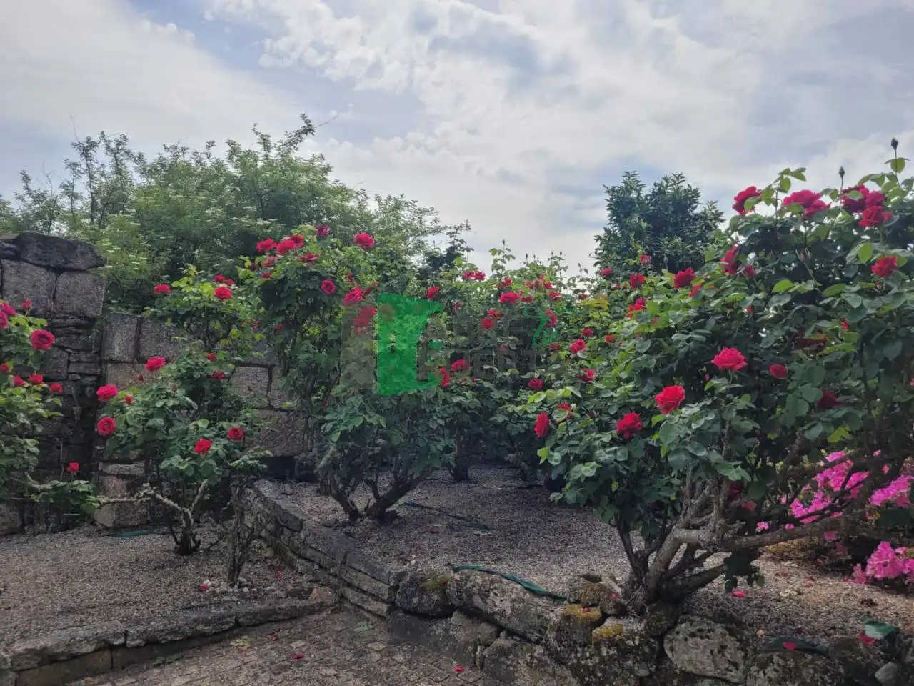 Garden of Country homes for sale in Beade   with Heating and Private garden