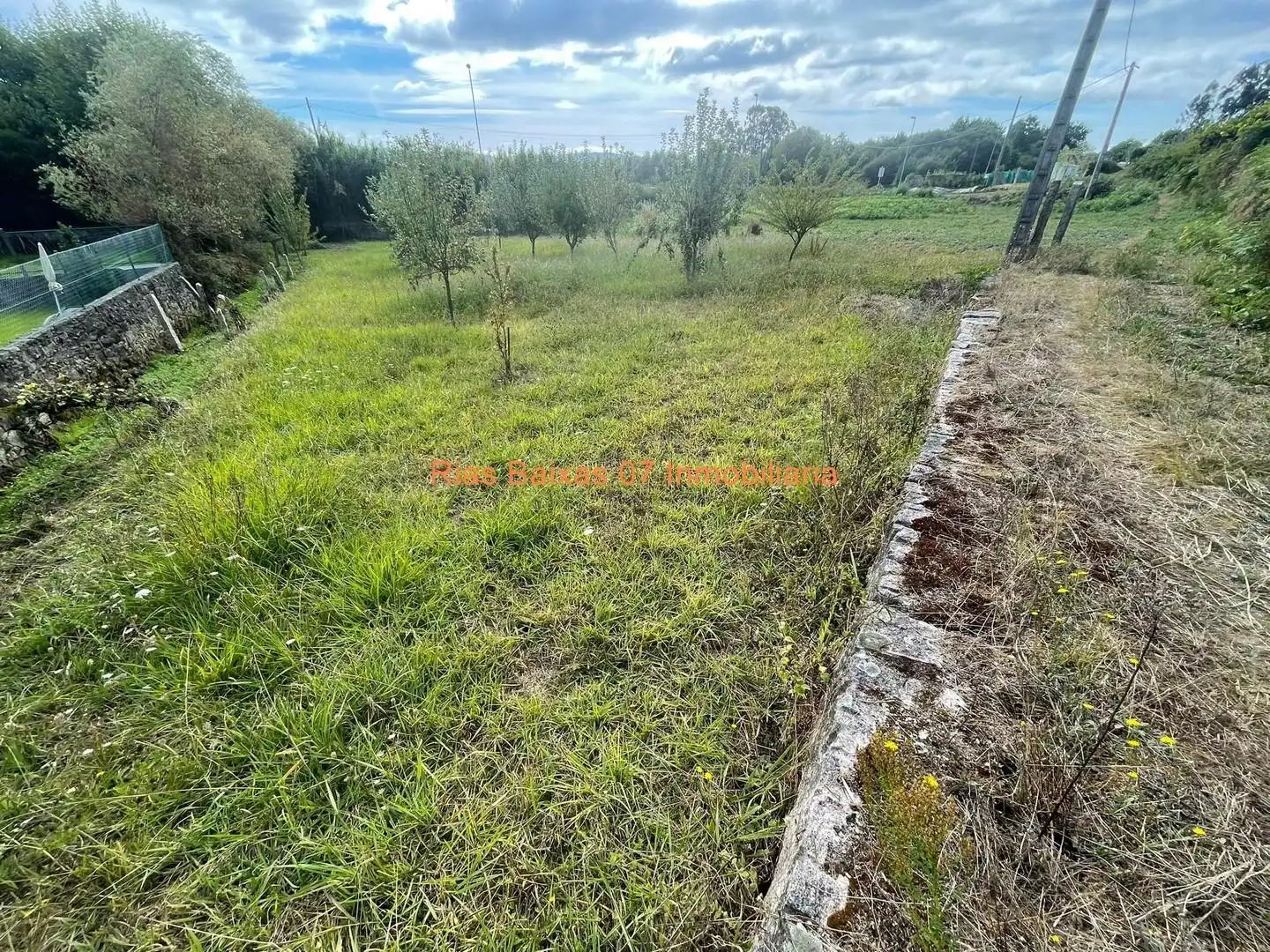 Terreny rústic en venda a Mos, imagen 5