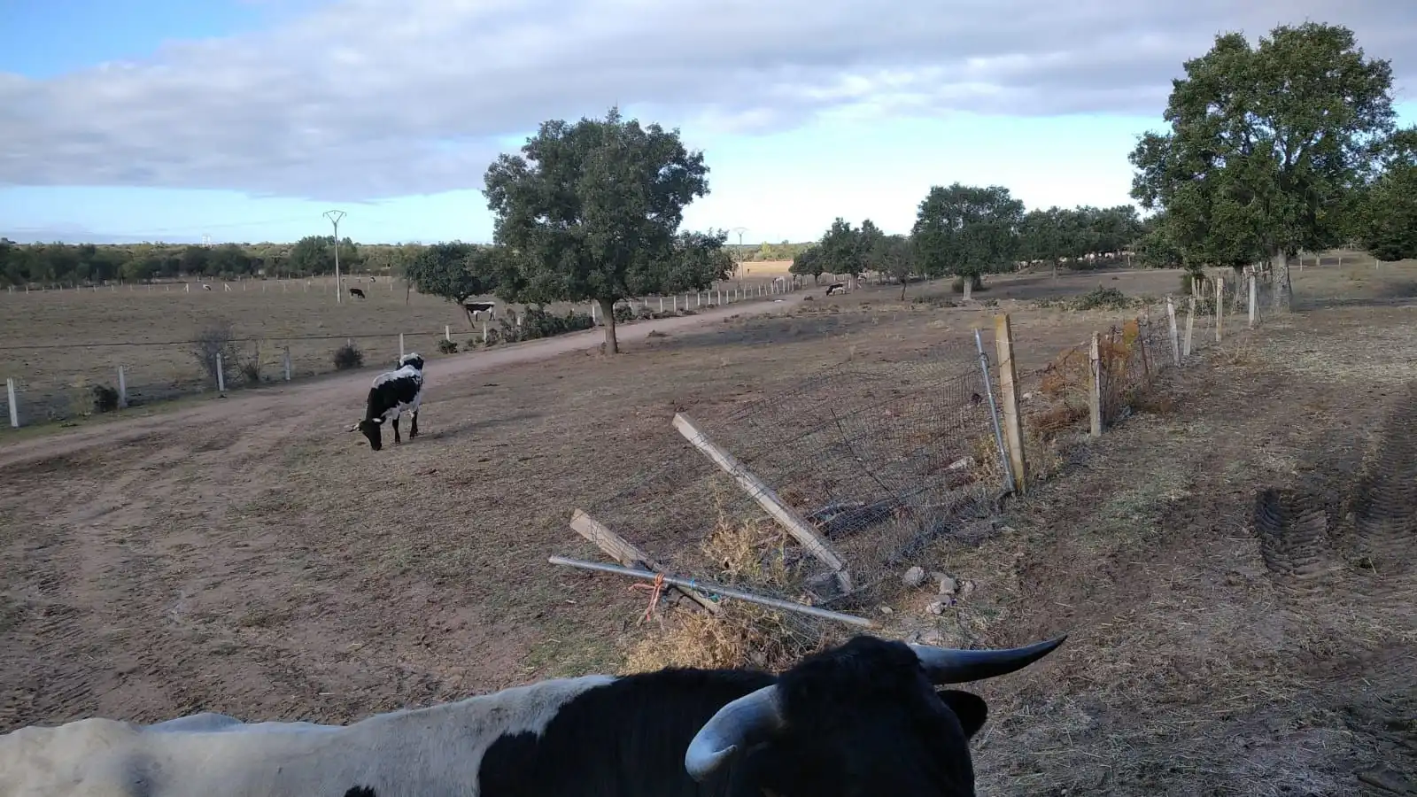 Rural land for sale in Topas, imagen 15
