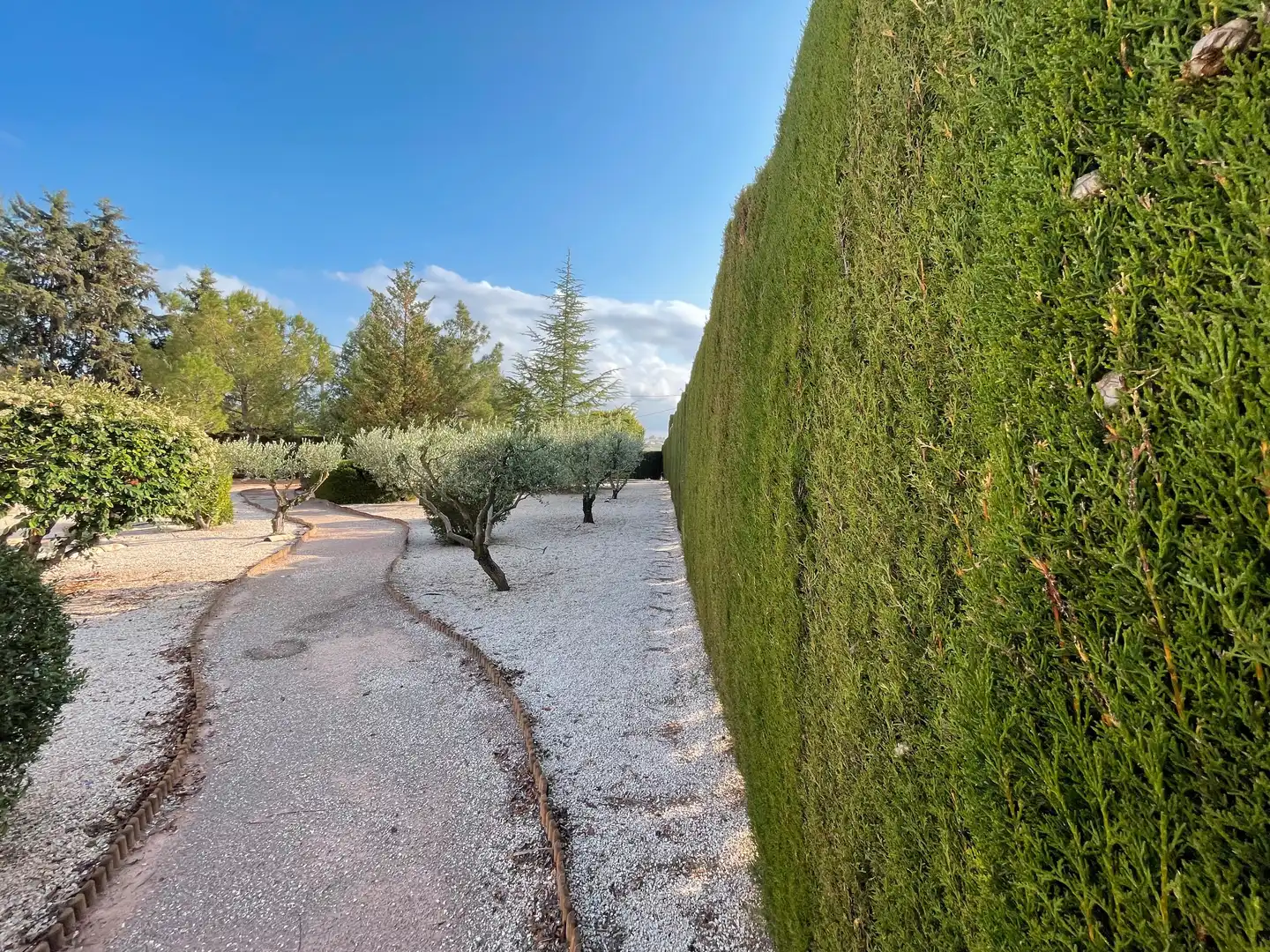 Villa con terrazza in vendita a Caravaca de la Cruz, imagen 14