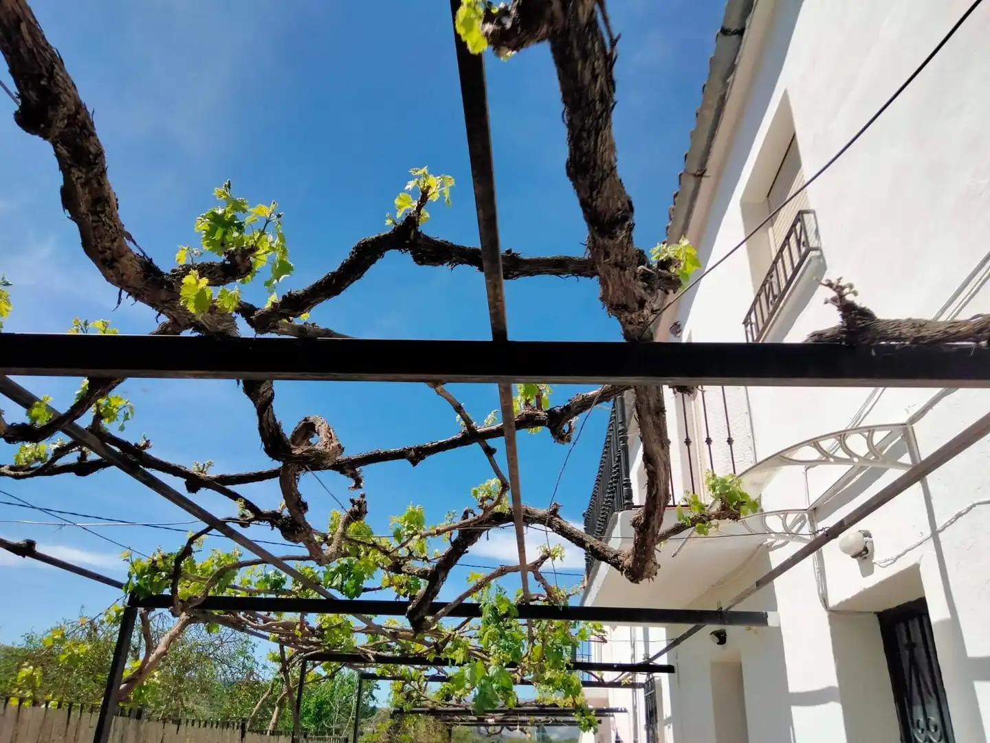 Casa rústica en venta en Partidas Norte, imagen 12