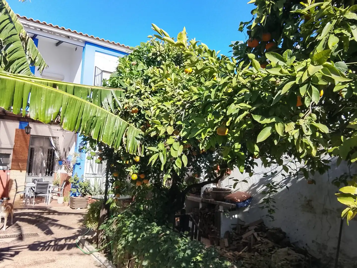 Garden of Houses for sale in Bormujos  with Air Conditioner, Heating and Private garden