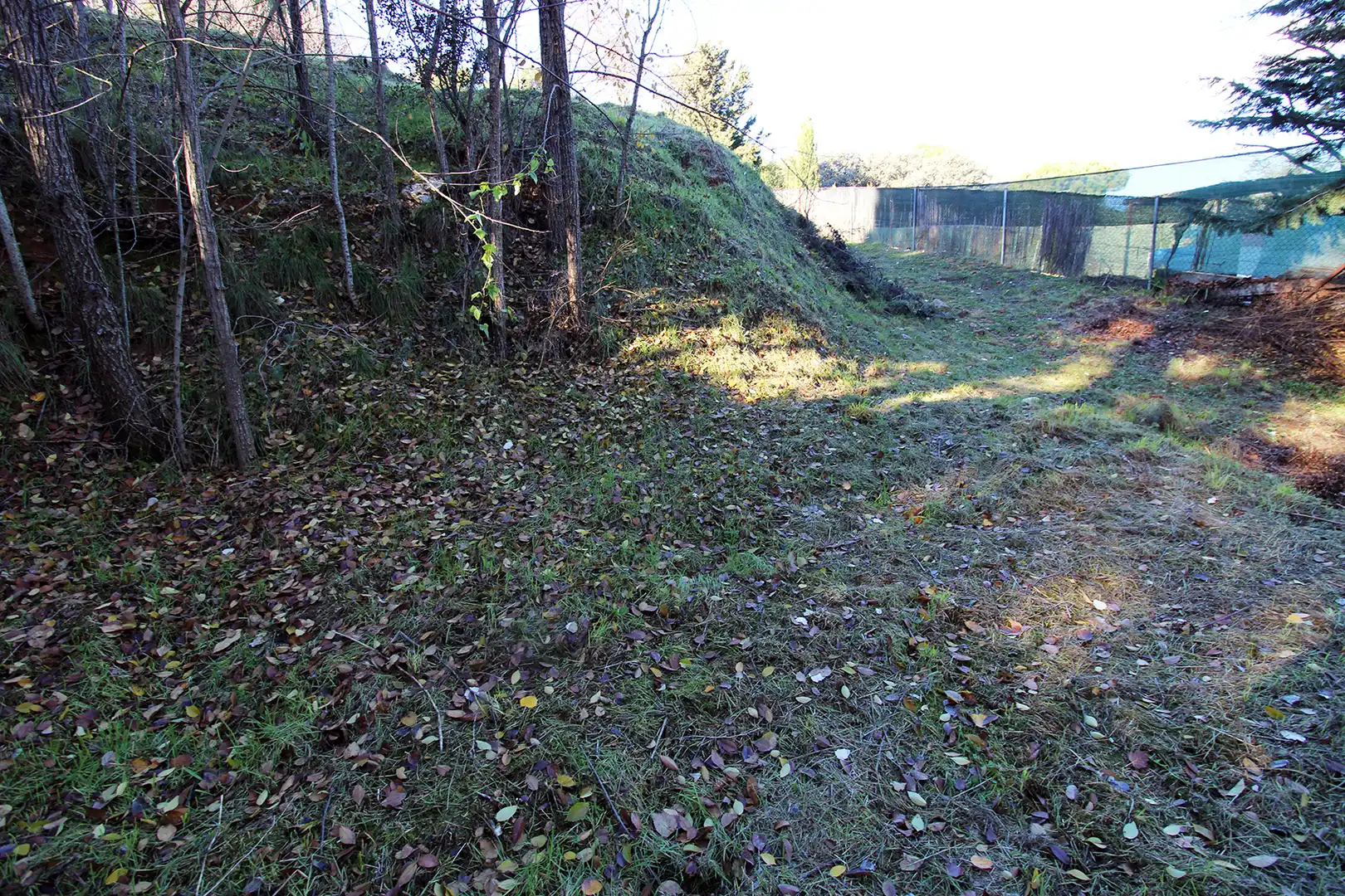 Terrain résidentiel à vendre à Calle Urbanización Peñarrubia, imagen 11